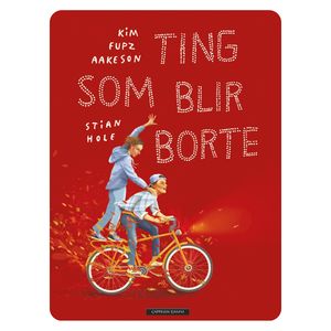 Hovedbilde Ting som blir borte 