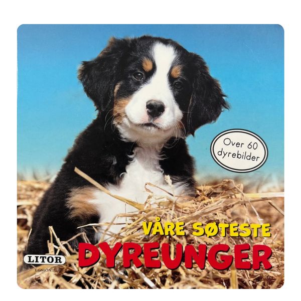 Våre søteste dyreunger 