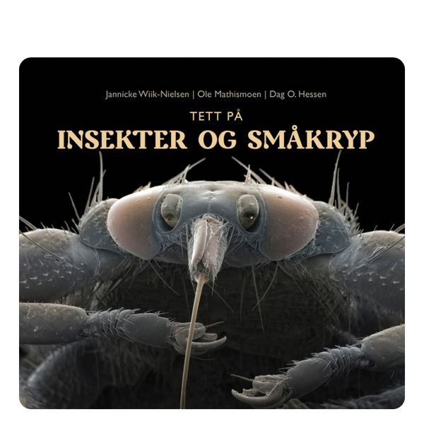 Tett på insekter og småkryp