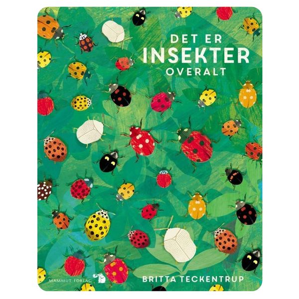 Det er insekter overalt
