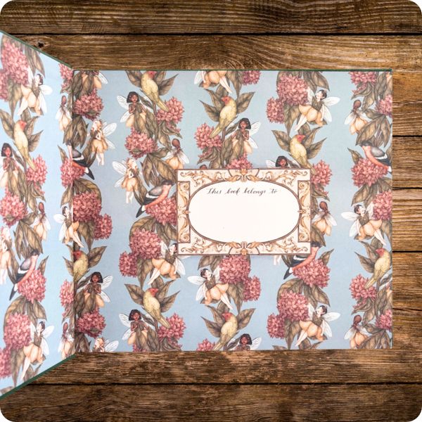 A Natural History of Fairies 